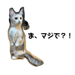 arisa_20230124224017