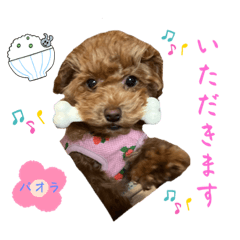 YUKA_20230124224025