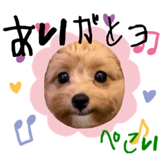 kosuume
