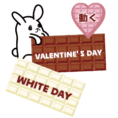 Valentine Day and White Day rabbit move