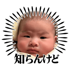 sunfran_20230124224255