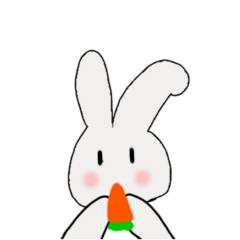 NONAME RABBIT2