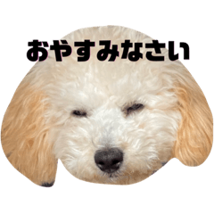 aoi_20230124183256