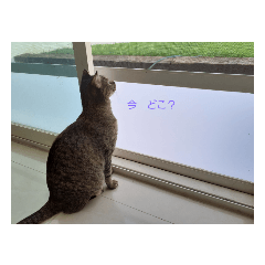 Kana_20230124201125