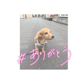 yukari_20230125163904