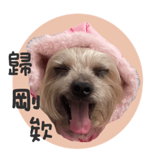Timmy萌萌噠