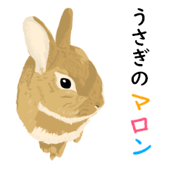 Cute Rabbit Marron