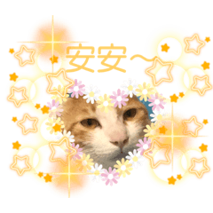 ～水無悅～自製貼圖（2）橘寶王子&黑糖公主