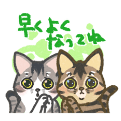 Brown cat and gray cat sticker 3