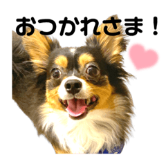 Megumi_20230125180929