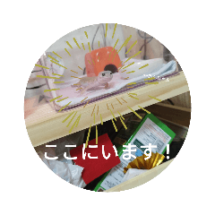 hana_20230125212437
