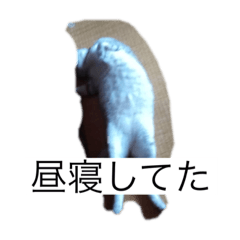 Aoi_20230125225243