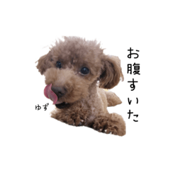 NAO_20230125223317