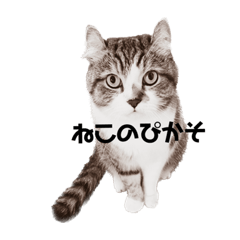 Sasha_20230125232028
