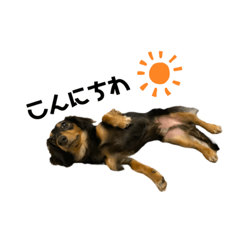 Kuu_20230125221835