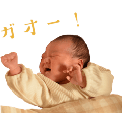 yuka_20230126115154