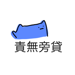 帽子貓咪