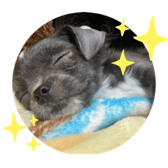 Natsumi_20230126143401