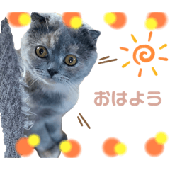 arisa_20230126150118