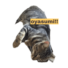 nao_20230126141214