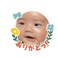 カシュウ