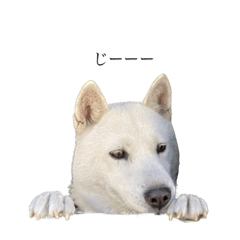 Kana_20230127021252