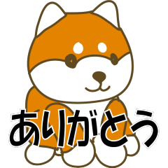 Shiba Inu dog greeting 02