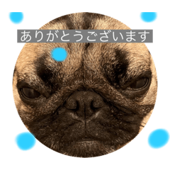 ririka_20230126210351