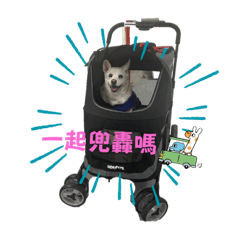 QQ與Roku❤️