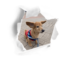 yukari_20230126231100