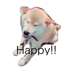 hikaru_20230126230602