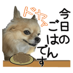 shiho_20230126231400