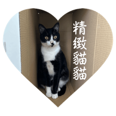 黑白幫