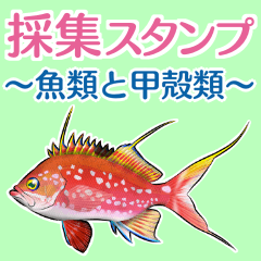 Fish sticker for collectors