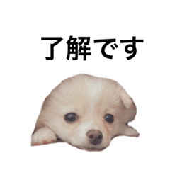 natsumi_20230126214838