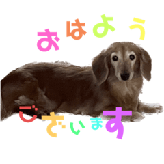 hikari_20230127103149