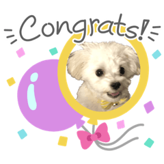 Asako_20230127104155