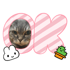 kana_20230127105403