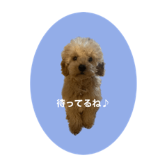 Miho_20230127151015428