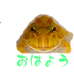 tomomi_20230127152040