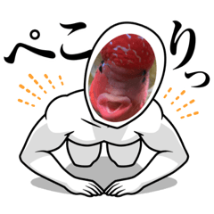 kana_20230127134217
