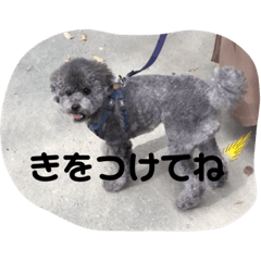 KAEDE_20230125140611