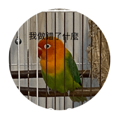 謎因啾∠( ᐛ 」∠)＿