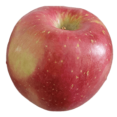 Food Series : Some Apple #6