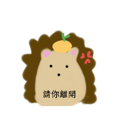 橘子家族✡