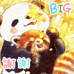 Red panda Pohe/  Animals Daily Big / CHT