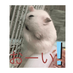 Yun_20230127191233