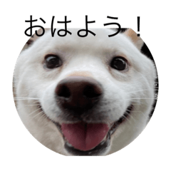 tono_tono