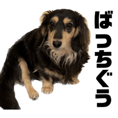 Yukari_20230128143427