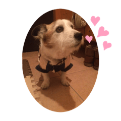 momoko_20230128121641